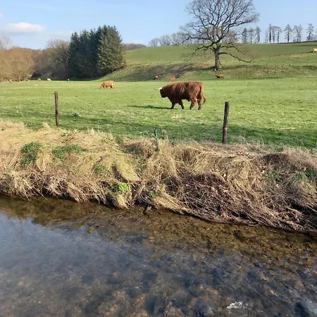 Ap57 Nature Ardennes Economy Class